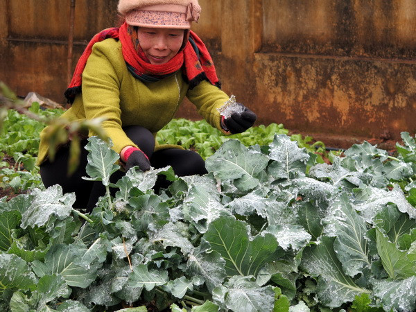 Bắc Bộ và Bắc Trung Bộ duy trì rét đậm, rét hại trong hai ngày tới ảnh 1