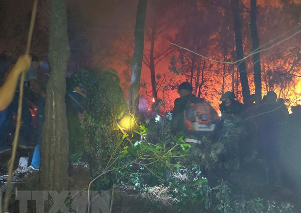 Quảng Ninh: Kịp thời dập tắt đám cháy rừng trong đêm ảnh 1