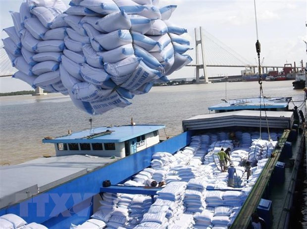 Vấn đề đảm bảo an ninh lương thực thời COVID-19 ảnh 2