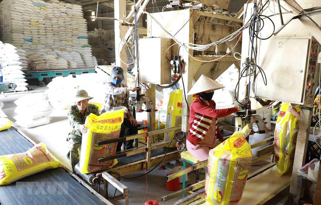 Thị trường nông sản tuần qua: Giá lúa biến động trái chiều ảnh 1