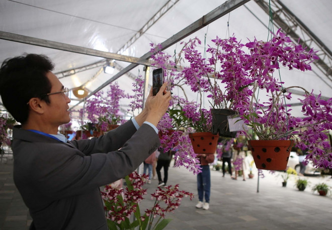[Photo] Triển lãm hoa lan với chủ đề Hương sắc Lai Châu ảnh 6