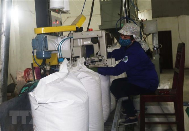 Doanh nghiệp sản xuất thực phẩm bước vào giai đoạn dễ thở sau khó khăn ảnh 3