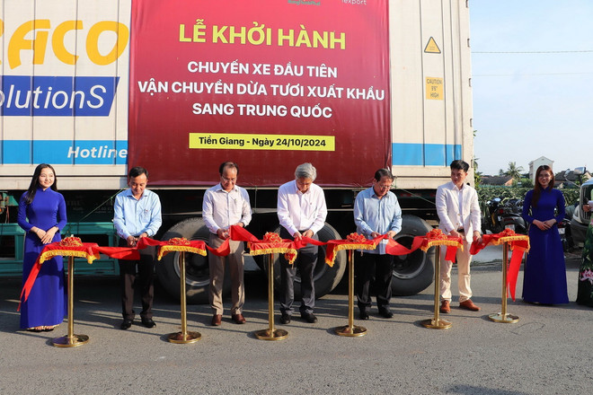 ttxvn_xuat khau dua tuoi Tien Giang1.jpg