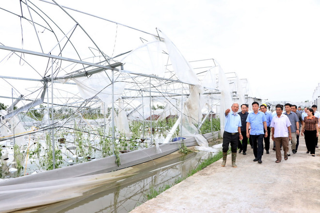 ttxvn_0809_le thanh long hai duong (2).jpg