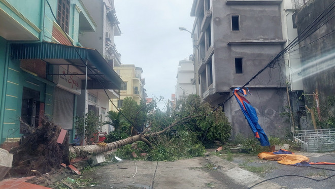 ttxvn_0809_quang ninh mat dien (1).jpg