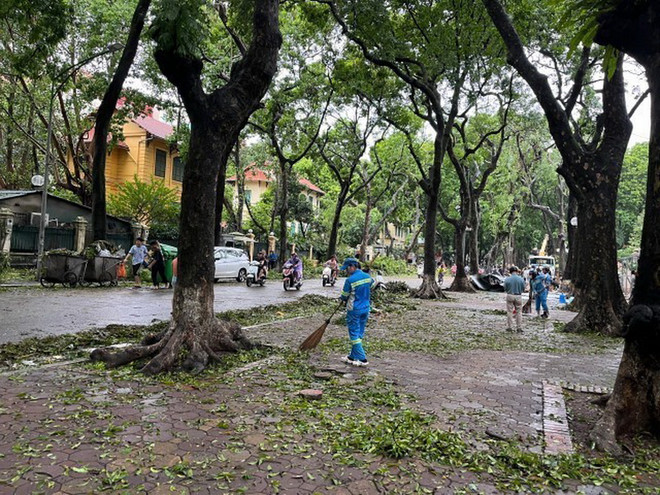 ttxvn_0809_ha noi cay do (3).jpg