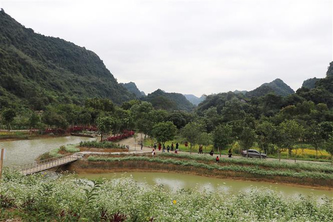 Kiên quyết xử lý hành vi xây dựng sai phép tại Khu du lịch Thung Nham ảnh 1