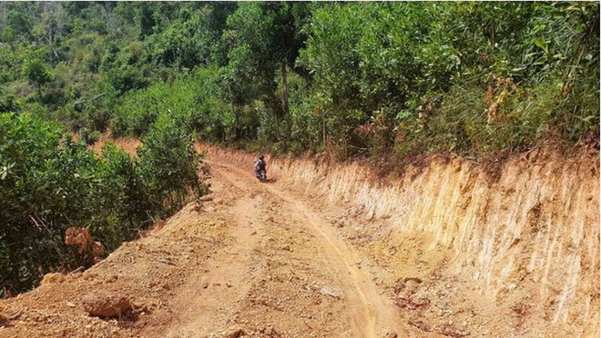Bạt núi, mở đường trái phép trong rừng phòng hộ: Chuyện đã rồi ảnh 1