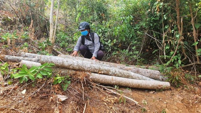 Bạt núi, mở đường trái phép trong rừng phòng hộ: Chuyện đã rồi ảnh 2