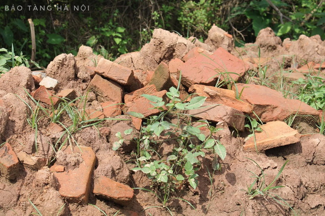 Hà Nội: Đề xuất khai quật khẩn cấp mộ gạch mới phát hiện ở Đan Phượng ảnh 1