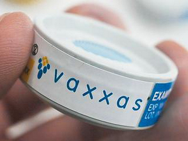 Australia thử nghiệm vaccine ngừa COVID-19 dạng miếng dán ảnh 1