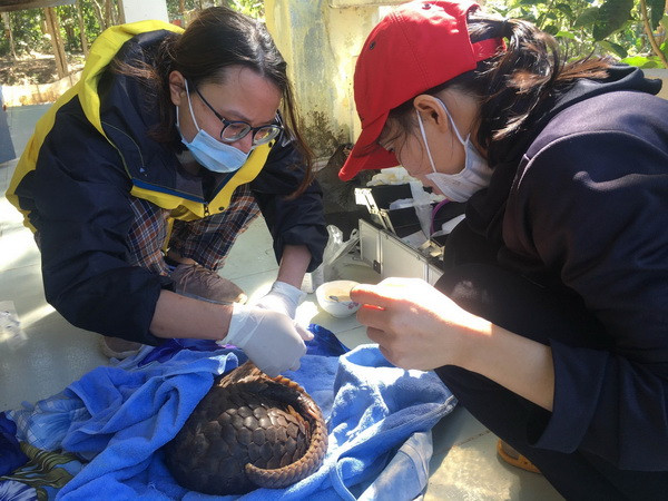 Vườn Cúc Phương cứu hộ nhiều động vật hoang dã ở 5 tỉnh, thành phố ảnh 1