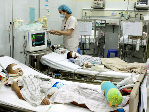 Ảnh chỉ có tính minh họa. (Ảnh: Dương Ngọc/TTXVN) Xuất hiện nhiều ca mắc bệnh viêm não Nhật Bản nặng tại TP.HCM ảnh 1