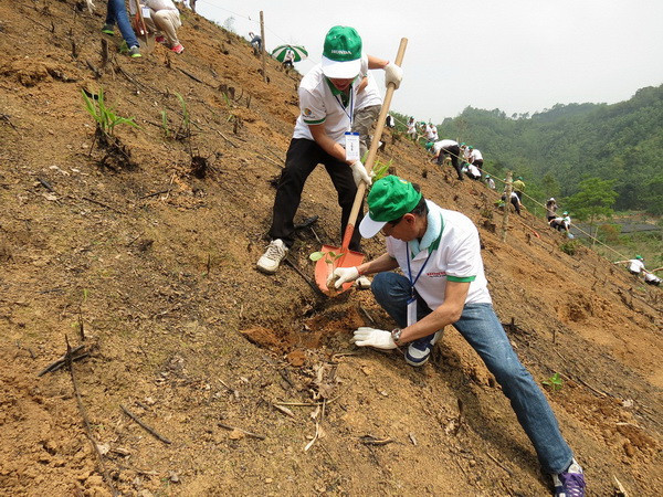 Honda Việt Nam tiếp tục triển khai dự án trồng rừng tại Bắc Kạn ảnh 1