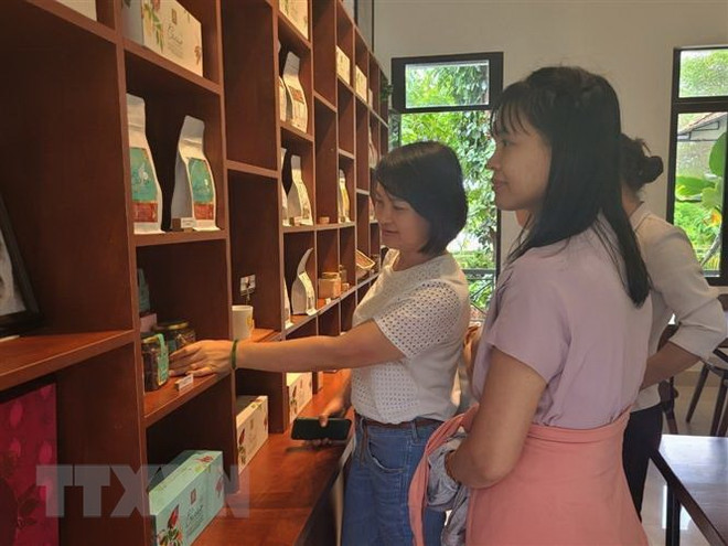 Nhìn lại 2022: Du lịch Bà Rịa-Vũng Tàu vực dậy mạnh mẽ từ nội lực ảnh 1