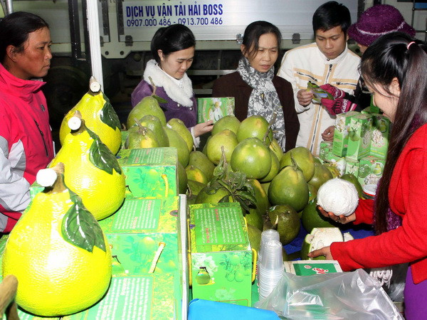 Trên 300 DN dự Hội chợ thương mại Festival Hoa ảnh 1