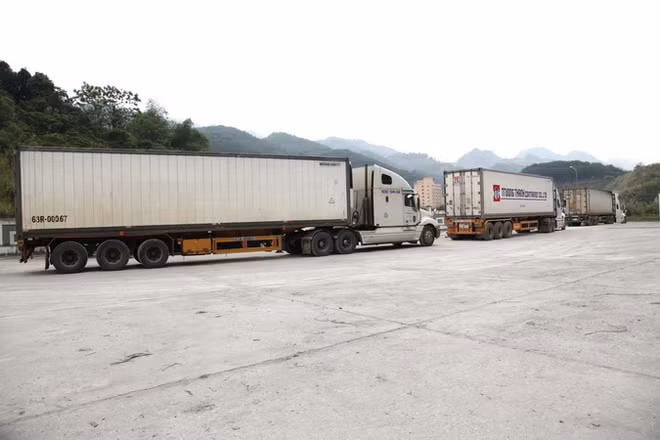 Dịch COVID-19: Vẫn còn nông sản tồn đọng tại các cửa khẩu ảnh 1