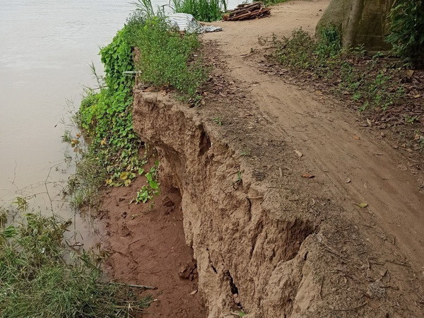 An Giang: Đê bờ Nam kênh Chủ Mỹ, huyện Châu Phú sạt lở 30m ảnh 1