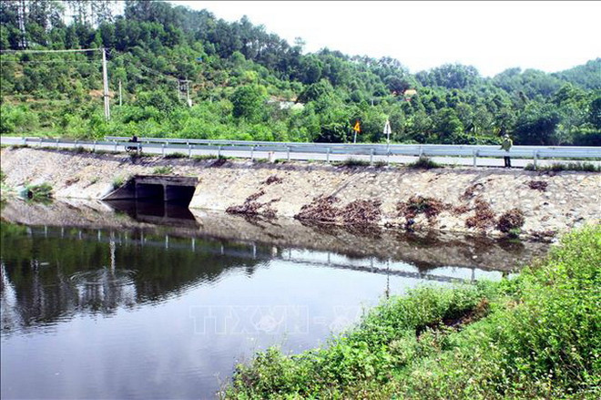 Nghệ An: Sớm giải quyết về môi trường ở trang trại lợn Đại Thành Lộc ảnh 2