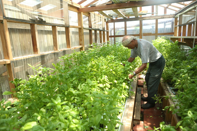 Bài 5: Chân dung người nông dân Mỹ gốc Việt bên bờ sông Mississippi ảnh 10