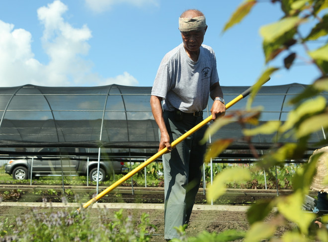 Bài 5: Chân dung người nông dân Mỹ gốc Việt bên bờ sông Mississippi ảnh 2