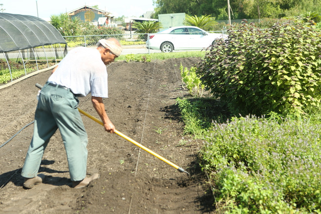Bài 5: Chân dung người nông dân Mỹ gốc Việt bên bờ sông Mississippi ảnh 4