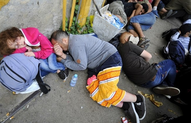 Bulgaria điều quân tới biên giới để chặn dòng người di cư ảnh 1