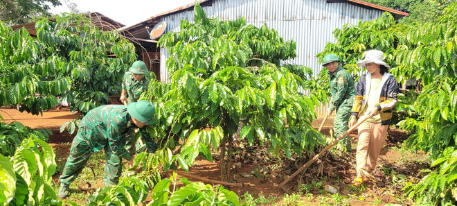 ttxvn_bo doi bien phong Gia Lai.jpg