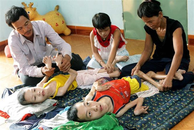 Bà Trần Tố Nga và hành trình tranh đấu cuối cùng của cuộc đời ảnh 2