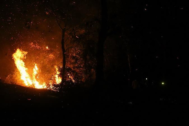 Phú Yên đập tắt đám cháy rừng ở khu vực núi Rọ Hươu ảnh 1