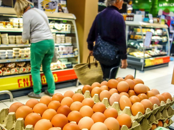 Nông dân và các nhà bán lẻ Hà Lan chật vật với bê bối trứng "bẩn" ảnh 1