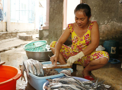 Công đoạn nạo lấy thịt của cá đòi hỏi sự tỉ mỉ, cẩn thận. (Nguồn: baobariavungtau.com.vn) Đậm đà chả cá Phước Hải - đặc sản vùng biển Bà Rịa-Vũng Tàu ảnh 1