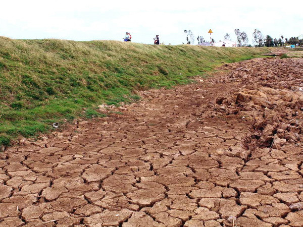 Phó Thủ tướng chỉ đạo phòng, chống hạn hán tại Ninh Thuận ảnh 1