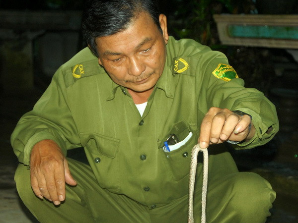 Làm rõ đối tượng đưa hình ảnh thất thiệt về rắn lục đuôi đỏ ảnh 1