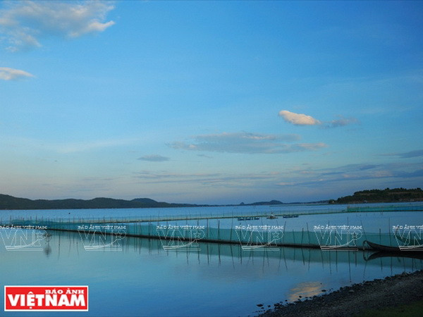 Danh thắng quốc gia đầm Ô Loan, nơi có phong cảnh hữu tình và nhiều sản vật hấp dẫn. (Ảnh: Tư liệu Báo ảnh việt Nam) Phú Yên hội tụ nhiều tiềm năng về kinh tế biển và du lịch ảnh 12
