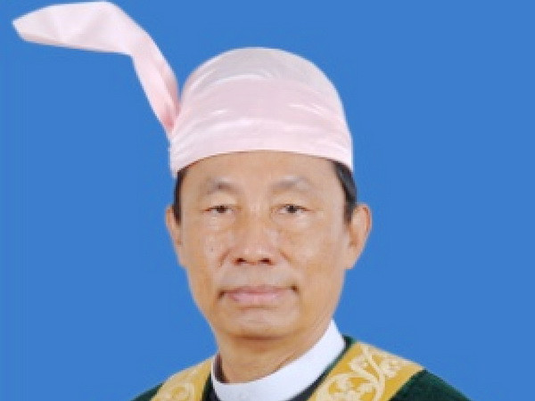 Chủ tịch Quốc hội Myanmar bắt đầu thăm chính thức Việt Nam ảnh 1