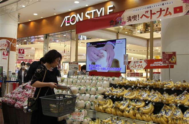 Hoa quả Việt Nam được bày bán tại siêu thị AEON Nhật Bản. (Ảnh: Đào Thanh Tùng/TTXVN) Những tiềm năng xuất khẩu sang Nhật Bản, Hàn Quốc còn bị bỏ ngỏ ảnh 2