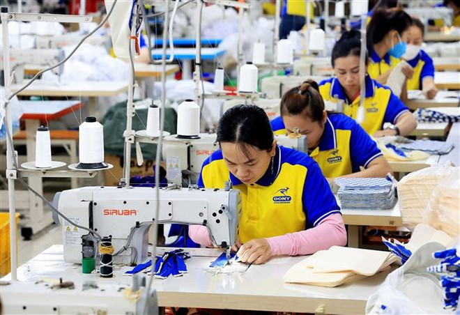 Công nhân dệt may tại Công ty cổ phần May mặc Dony, huyện Bình Chánh, Thành phố Hồ Chí Minh. (Ảnh: Hồng Đạt/TTXVN) Những tiềm năng xuất khẩu sang Nhật Bản, Hàn Quốc còn bị bỏ ngỏ ảnh 1