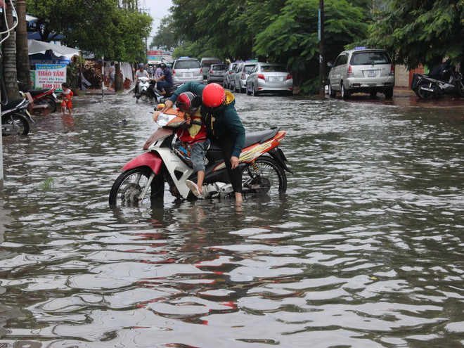 Xây dựng ba công trình chống ngập úng tại Đồng bằng sông Cửu Long ảnh 1