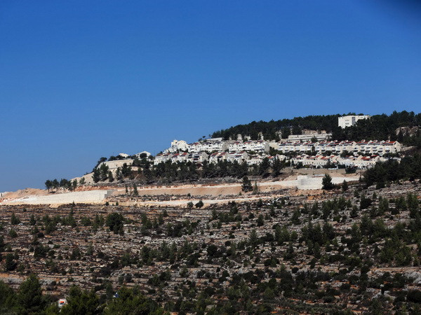 Israel bác bỏ nghị quyết của Hội đồng Bảo an Liên hợp quốc ảnh 1