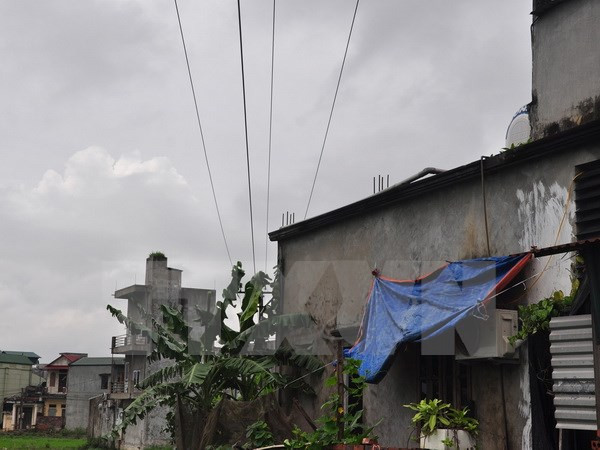 Hà Nội cam kết di chuyển đường dây điện trung thế tới vị trí an toàn ảnh 1