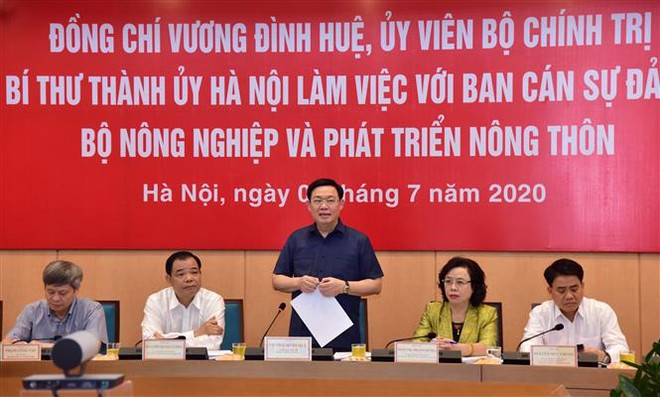 Làm gì để 'tam nông' của Hà Nội phát triển xứng với tiềm năng? ảnh 1