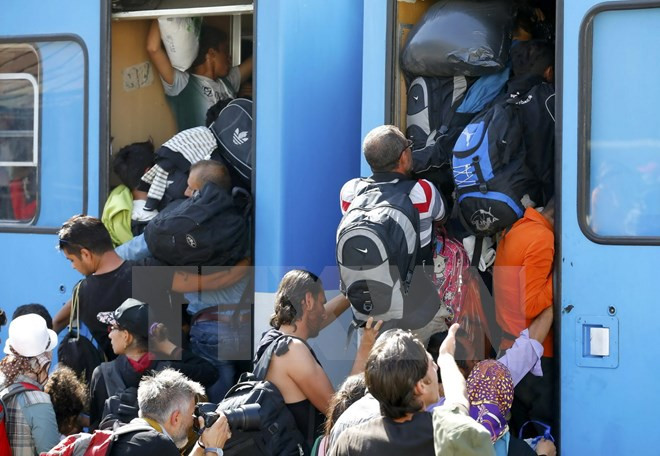 Sự kiện quốc tế tuần 21-27/9: Thảm họa tồi tệ nhất trong lịch sử Mecca ảnh 5