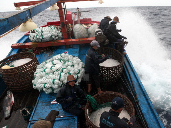 Phú Yên: Gần 53 tỷ đồng cho ngư dân khai thác hải sản xa bờ ảnh 1