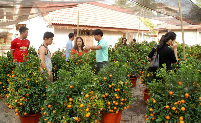 [Photo] Vientiane sôi động đón tết cổ truyền của người Việt ảnh 1