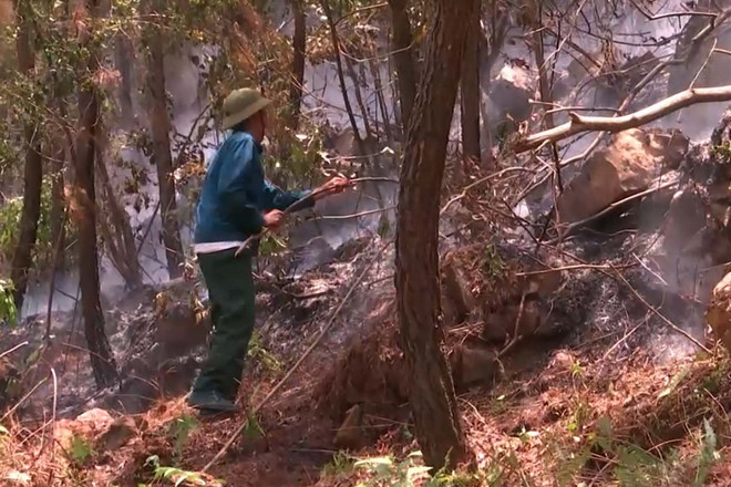 Gần 50% diện tích rừng ở Đắk Nông có nguy cơ cháy trong mùa khô ảnh 1