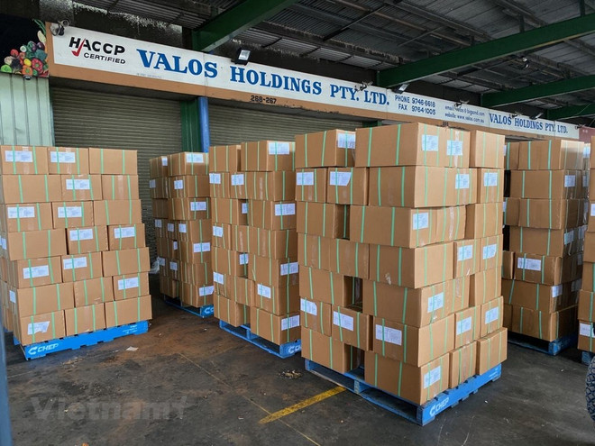 Thương mại song phương Việt Nam-Australia tăng 34% trong 4 tháng qua ảnh 1