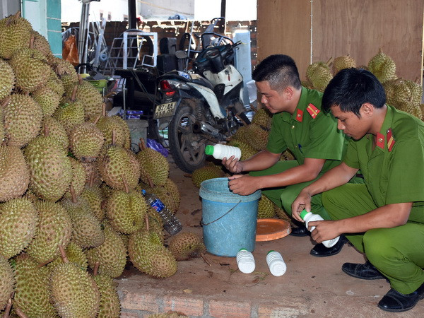 Kon Tum: Phát hiện cơ sở kinh doanh tẩm hóa chất vào sầu riêng ảnh 1