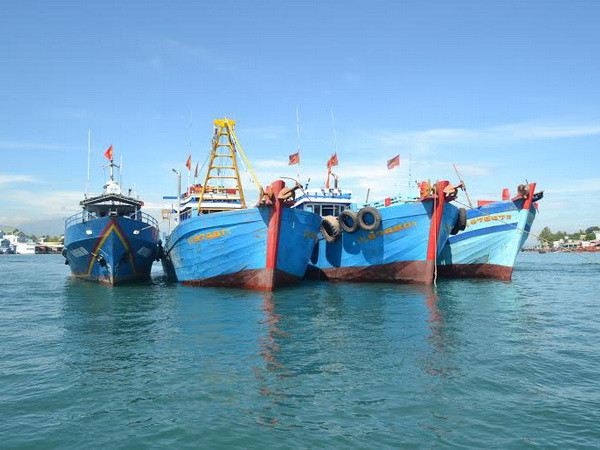 Xử phạt 8 tàu giã cào tàn phá môi trường ven bờ biển Quảng Nam ảnh 1