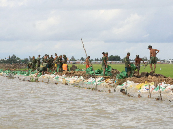 Xuất hiện lũ tại khu vực Bắc Bộ và Đồng bằng sông Cửu Long ảnh 1